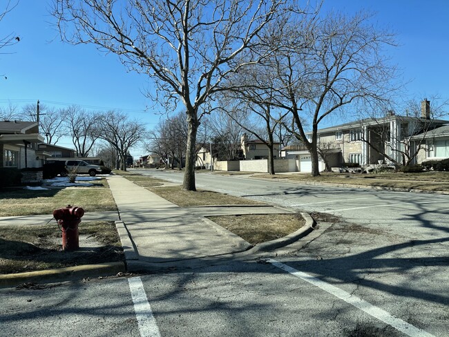 The neighborhood (popular Pill Hill) - 1914 E 93rd St