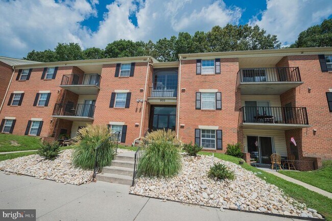 Building Photo - 803 College Ln