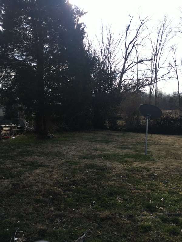 Foto del edificio - 3608 Ripple Creek Dr