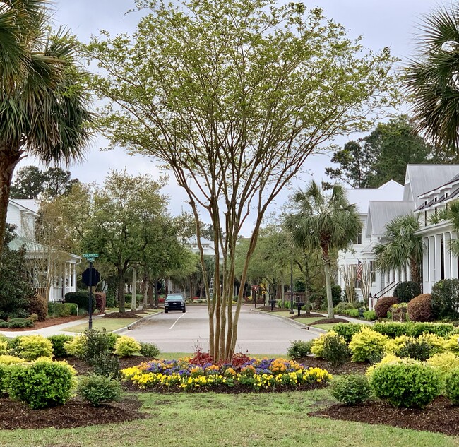 Desirable Parkside neighborhood - 1009 Breedon Ct