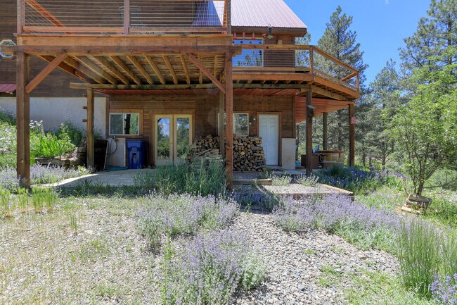 Building Photo - 237 Buena Vista Pl
