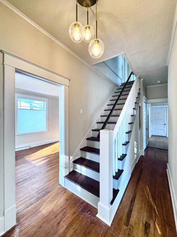 Building Photo - 7 E Curtiss St