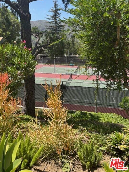 Foto del edificio - 1644 Palisades Dr
