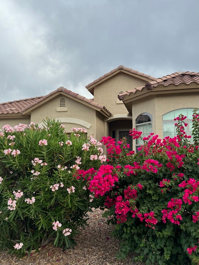 patio delantero - 10433 W Carlota Ln