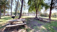 The Grill Area is a welcoming outdoor amenity space nestled beneath a canopy of mature trees that provide generous natural shade throughout the grounds. Multiple wooden picnic tables are positioned across the grassy area, offering ample seating for gatherings and outdoor dining. A charcoal grill is conveniently located adjacent to the picnic tables, making the space well-suited for cookouts and community events.

The surroundings enhance the overall appeal of the area. A children's playground is visible nearby, enclosed within a chain-link fence and equipped with colorful play structures, making it a family-friendly destination. Sports courts with fencing are also visible in the background, further adding to the recreational offerings of the broader outdoor complex.

A concrete walkway runs along the perimeter of the space, connecting the grill area to other amenities, including what appears to be a pool or covered lounge area with a gazebo. A small brick utility shed sits along the path, complementing the well-kept landscaping. Expansive green lawns stretch across the grounds, framed by tall trees that cast dappled shadows throughout the day. The area benefits from abundant natural light and an open, park-like atmosphere ideal for outdoor recreation and social gatherings.