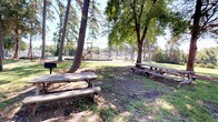The Grill Area is a welcoming outdoor amenity space nestled beneath a canopy of mature trees that provide generous natural shade throughout the grounds. Multiple wooden picnic tables are positioned across the grassy area, offering ample seating for gatherings and outdoor dining. A charcoal grill is conveniently located adjacent to the picnic tables, making the space well-suited for cookouts and community events.

The surroundings enhance the overall appeal of the area. A children's playground is visible nearby, enclosed within a chain-link fence and equipped with colorful play structures, making it a family-friendly destination. Sports courts with fencing are also visible in the background, further adding to the recreational offerings of the broader outdoor complex.

A concrete walkway runs along the perimeter of the space, connecting the grill area to other amenities, including what appears to be a pool or covered lounge area with a gazebo. A small brick utility shed sits along the path, complementing the well-kept landscaping. Expansive green lawns stretch across the grounds, framed by tall trees that cast dappled shadows throughout the day. The area benefits from abundant natural light and an open, park-like atmosphere ideal for outdoor recreation and social gatherings.