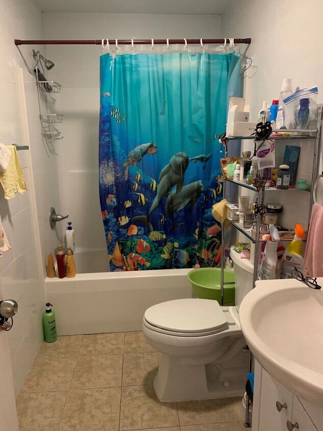 817 Colonial Rd SW, Abingdon, VA 24210 Apartments in Abingdon, VA