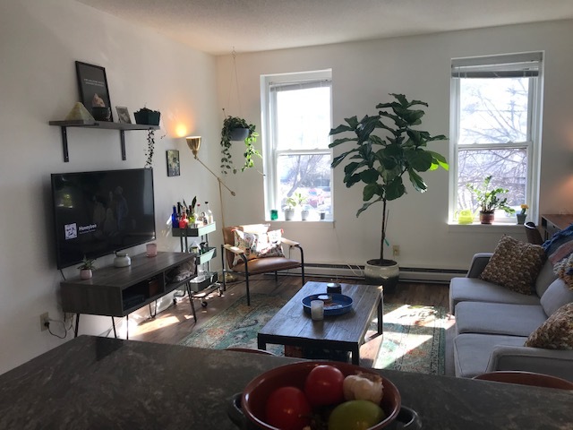 Primary Photo - 167 Wooster St