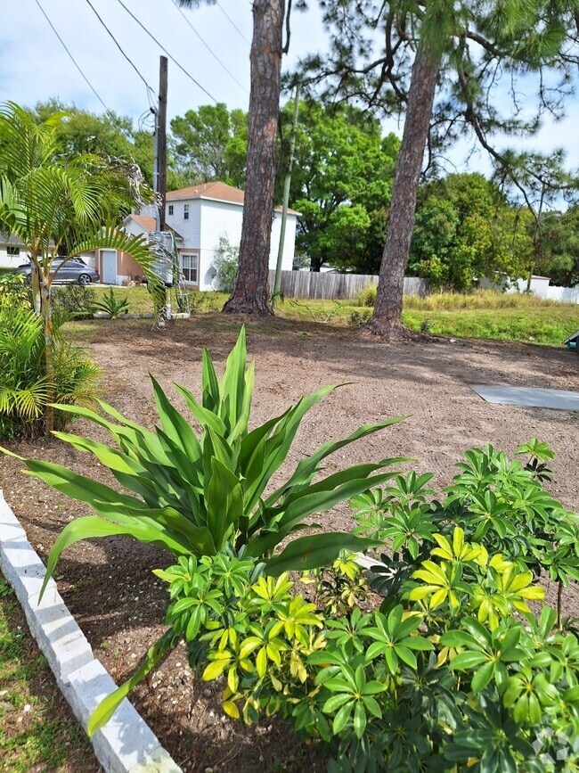 Apartments under 800 in Tampa, FL 50 Rentals