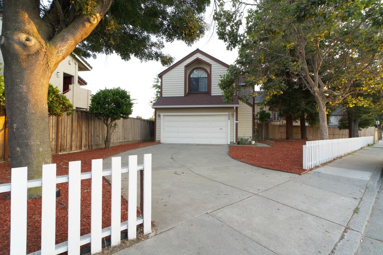 Front yard - 893 N Bayshore Rd W