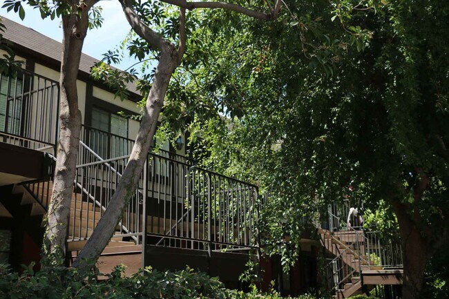 Foto del edificio - 123 S Encinitas Ave