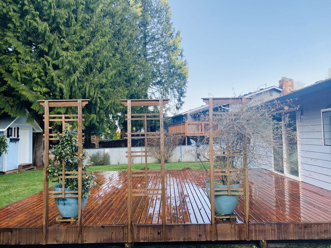 Building Photo - Mooney Silver Firs