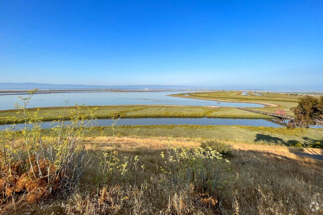 Newark residents can enjoy the views at Don Edwards San Francisco Bay National Wildlife Refuge.