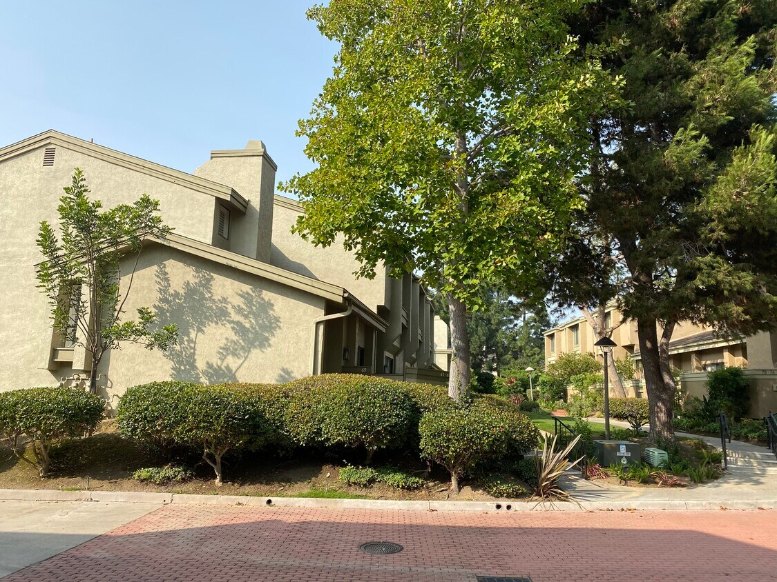 3216 Caminito Eastbluff Unit 69, La Jolla, CA 92037 Condo for Rent in