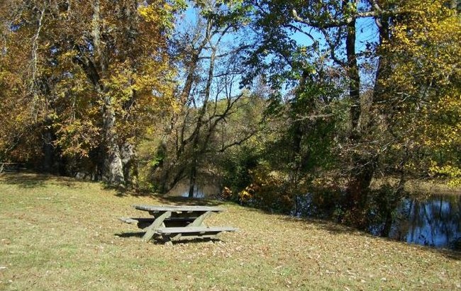 Picnic Area - River Country Apartments