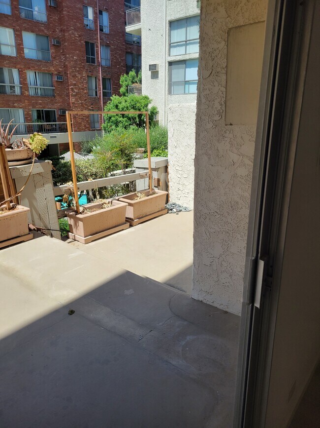 amplio patio - 1440 Veteran Ave