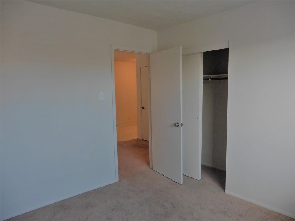 Foto del edificio - 3921 5th St NW Apt B