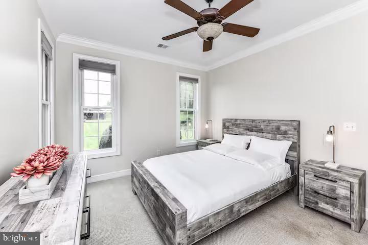 Foto principal - 5501 Blue Vly Wy