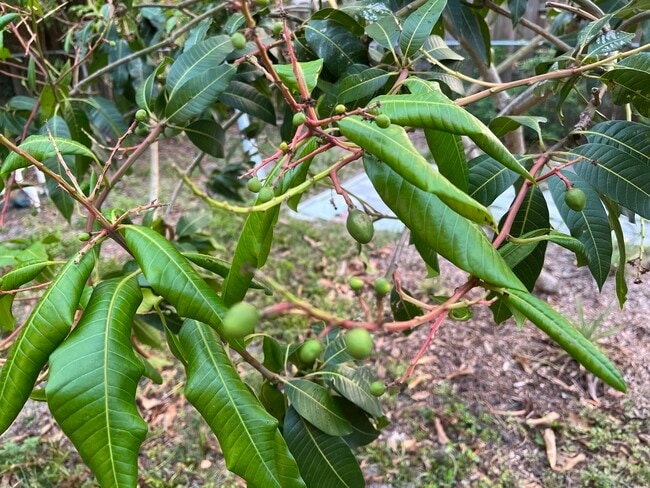 Building Photo - 2714 Grove St