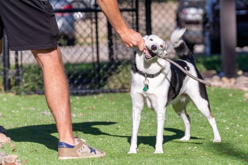 Foto del edificio - 1525 Oxford Pl