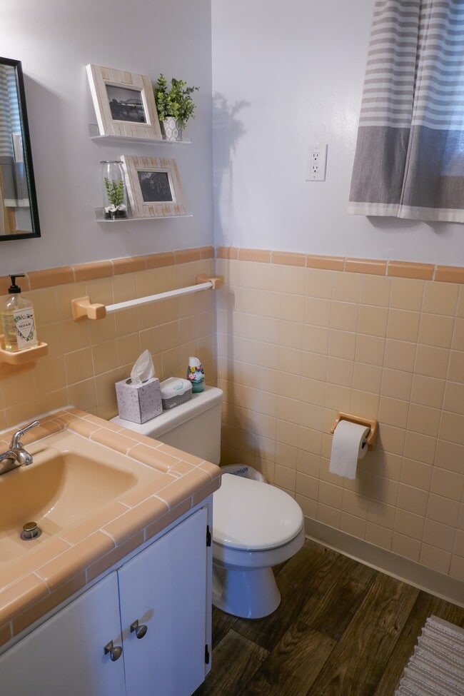Retro bathroom in excellent condition - 803 Hillview Heights