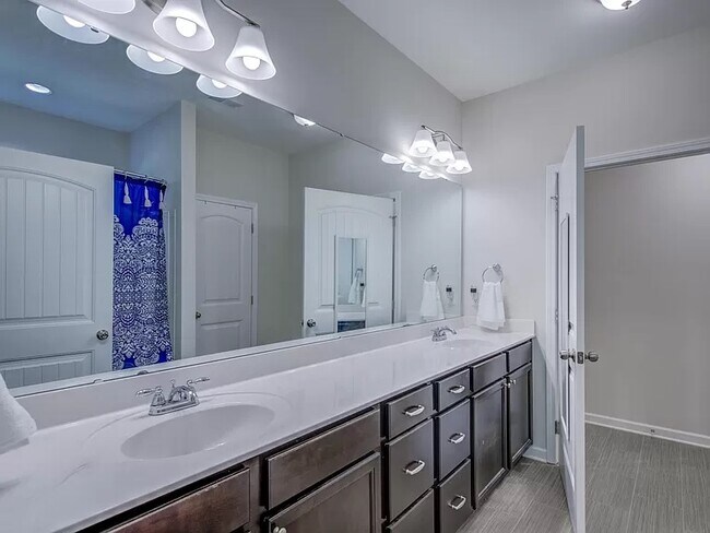 Downstairs Master Bathroom - 103 S Rose Hill Dr