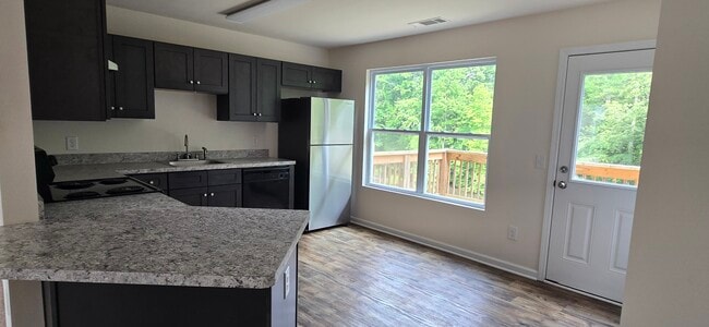 Kitchen - 203 Hyde Park Ln