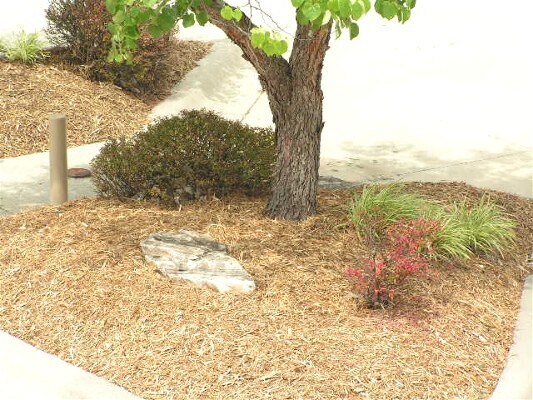 Foto del edificio - 3659 S Luster Ave