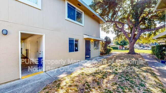 Building Photo - 1872 Roca Ct