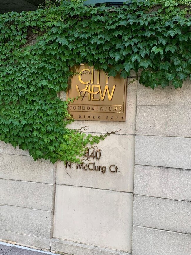 Building Photo - 440 N McClurg Ct