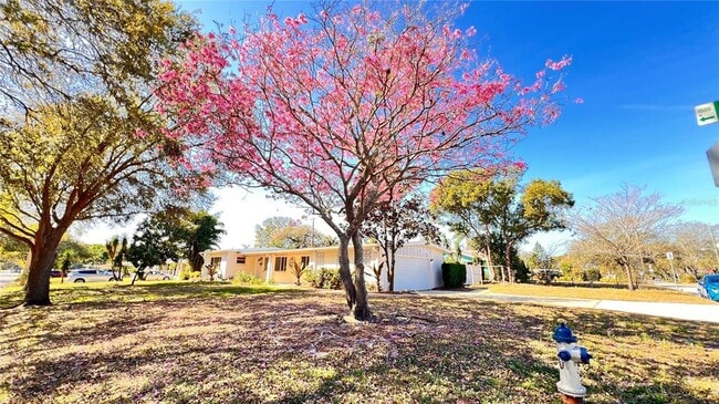 Building Photo - 1516 Dove Dr