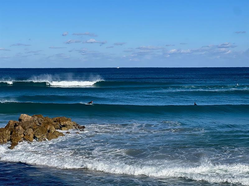 Foto del edificio - 1239 Hillsboro Mile