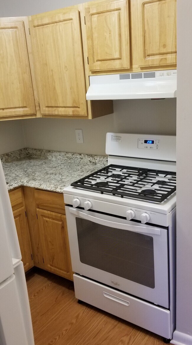 Stony Brook Village Apartments Boston, MA