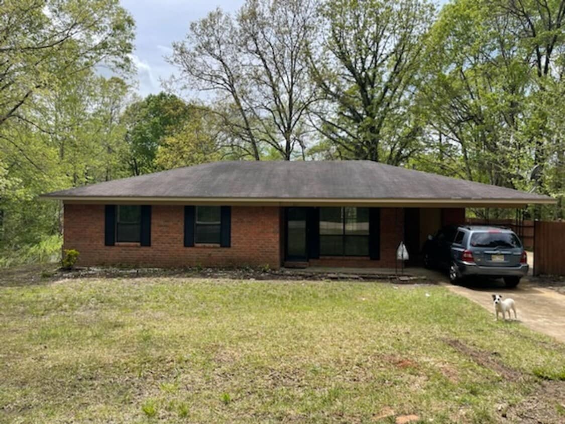 Renovated 3 Bedroom 1.5 Bath Home for Rent! House Rental in Saltillo