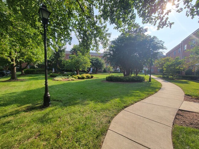Courtyard. - 1714 W Abingdon Dr