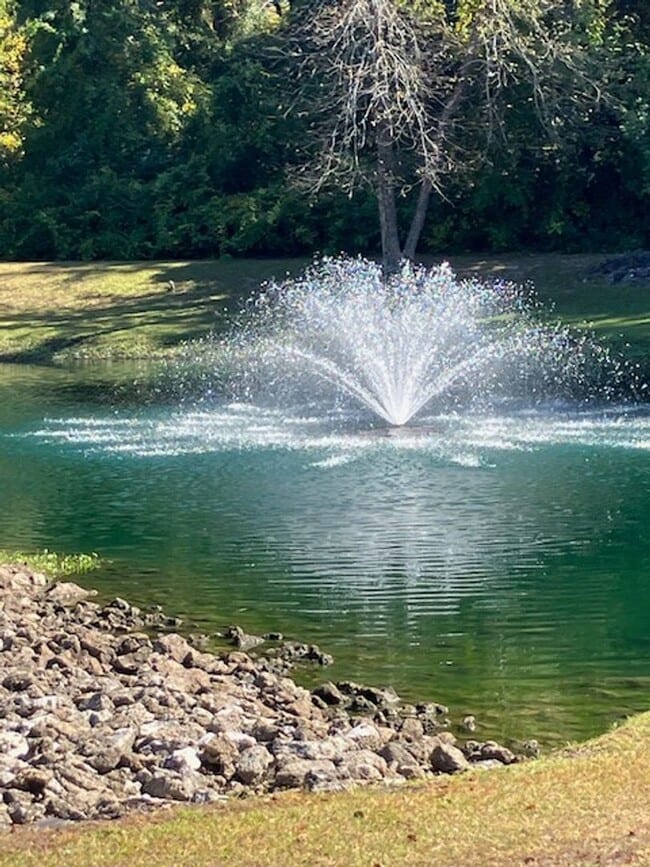 Photo - 5002-07 Apartment