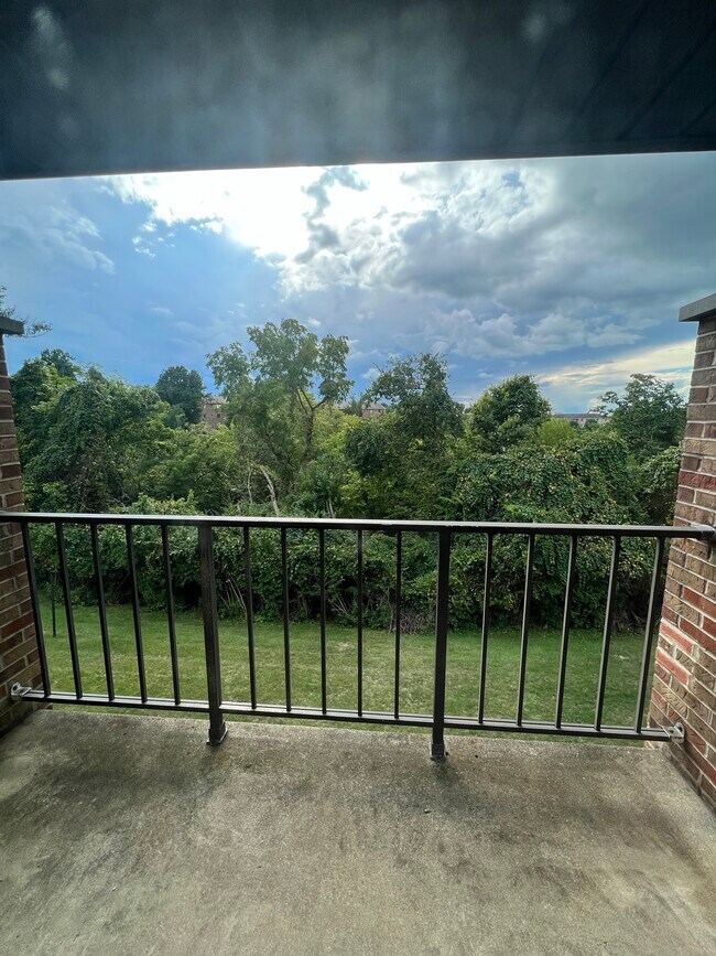 View - 5425 Bluesky Dr