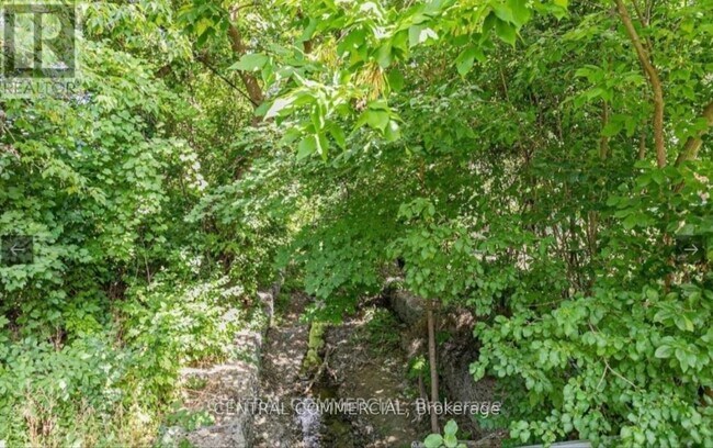 Photo du bâtiment - 38 Child Dr