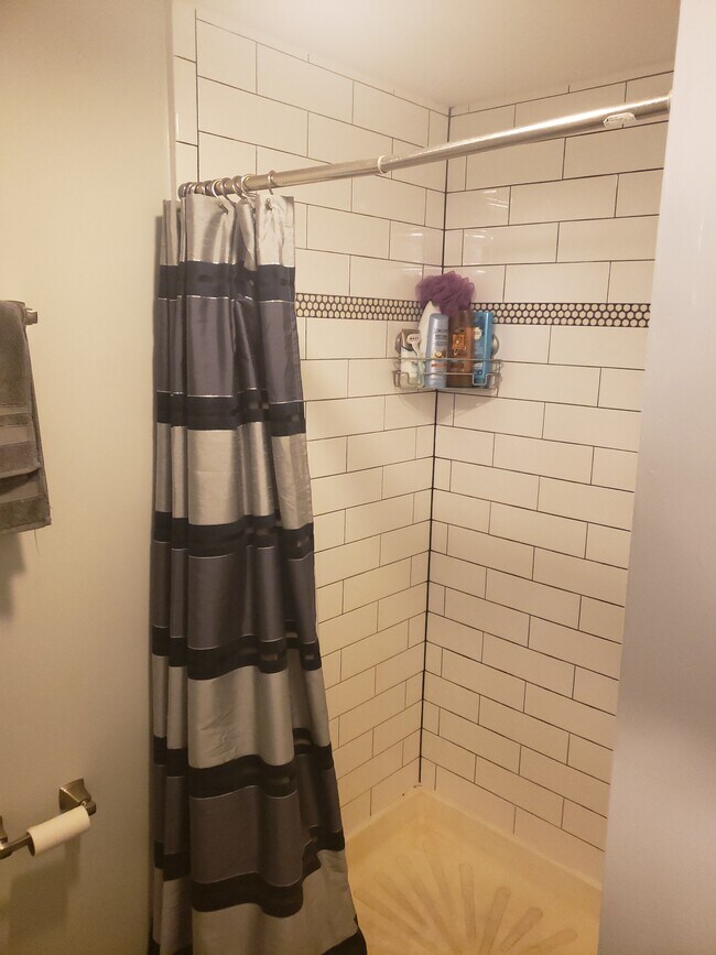 Tiled shower - 29 College St