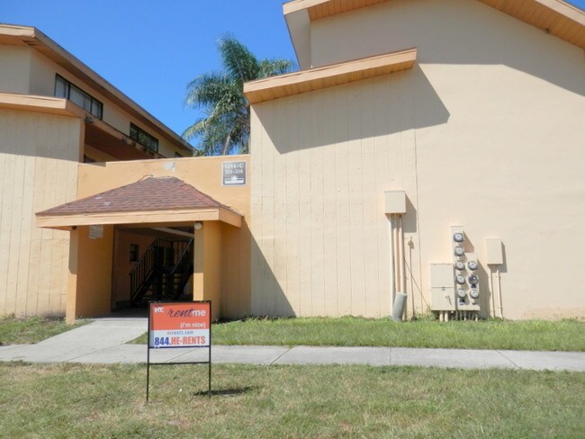 studio apt near usf rentals tampa fl apartments com