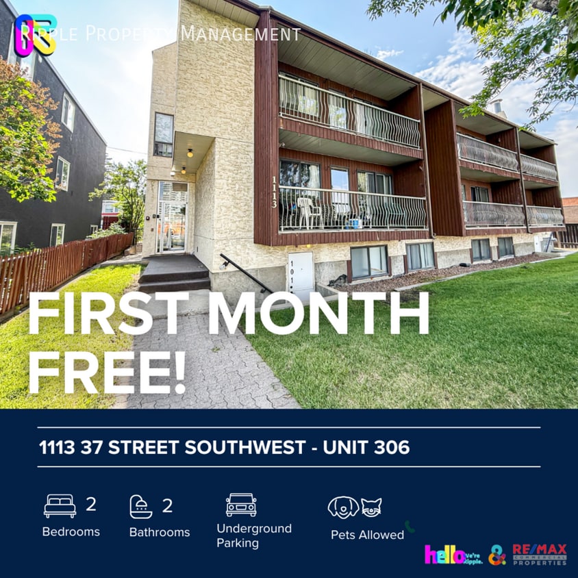 Primary Photo - Amazing 2 Beds, 1 Baths FURNISHED Apartmen...
