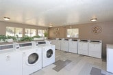 Located at 5222 Wyoming Blvd NE in Albuquerque, New Mexico, this shared laundry facility is a well-appointed, single-floor amenity space designed to serve a residential community. The room features a generous lineup of commercial-grade top-load and front-load washers and dryers, all equipped with digital payment interfaces for convenient use. The layout is thoughtfully organized, with machines arranged along the perimeter walls to maximize open floor space in the center.

A built-in folding counter runs along one wall, providing a practical surface for residents to sort and fold laundry. The floor is finished with a patterned vinyl tile in neutral tones of gray and beige, contributing to a clean, modern aesthetic. Warm taupe-painted walls complement the bright, airy atmosphere created by multiple windows fitted with horizontal blinds, allowing natural light to fill the space while maintaining privacy.

A glass-paneled door opens directly to an outdoor walkway and pool area, offering pleasant views and easy access to the surrounding community grounds. Decorative wall accents and potted plants add a welcoming touch to the functional space. Informational bulletin boards and posted instructions ensure residents have all the guidance they need. The facility is well-lit with flush-mount ceiling fixtures and includes ventilation throughout, making for a comfortable and efficient laundry experience.