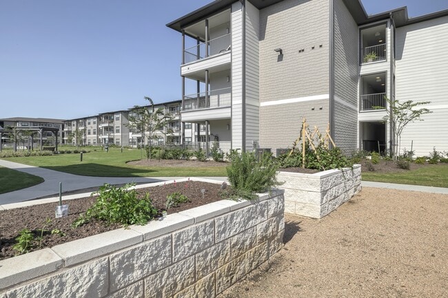 Building Photo - Solea Cinco Ranch 55+ Active Adult