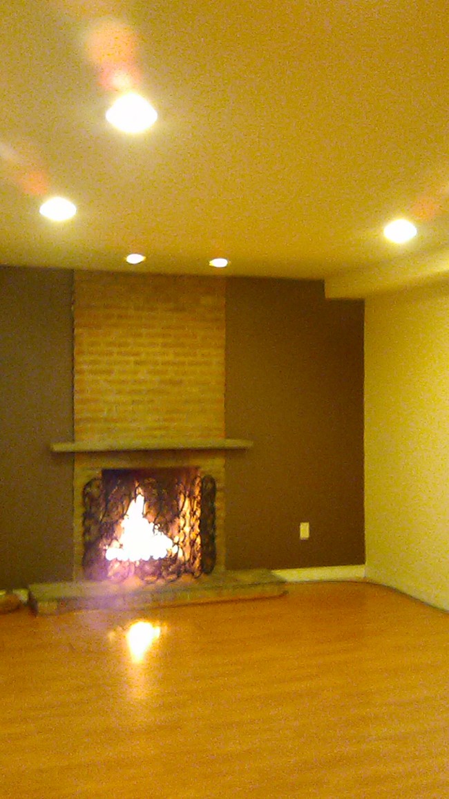 Working Fireplace - 15 Plumtree Ln