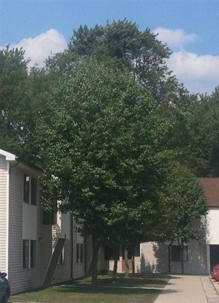Foto del edificio - 2 bedroom in Croswell MI 48422