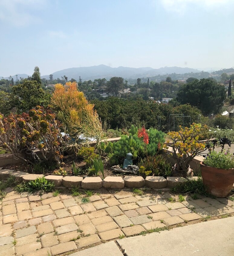 Primary Photo - 1515 Lovely Ln