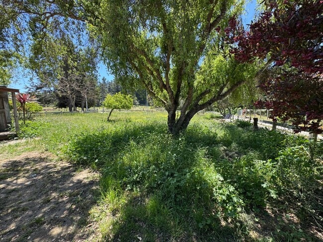 Building Photo - 640 Peaceful Valley Dr