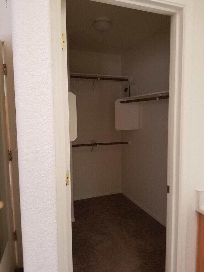 Foto del edificio - 2614 W Cezanne Cir