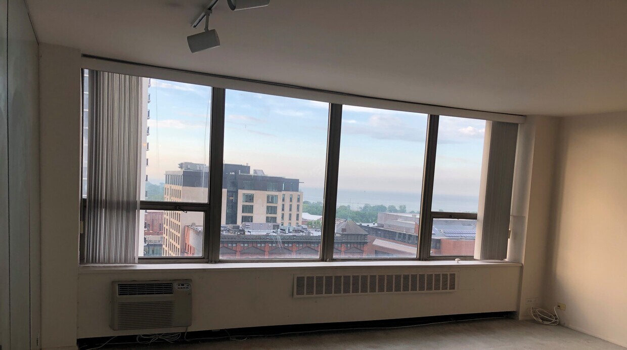 1460 N Sandburg Terrace Unit 1410, Chicago, IL 60610 Condo for Rent