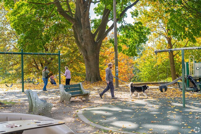 Walk your dog or hit the playground at Gorgas Park.